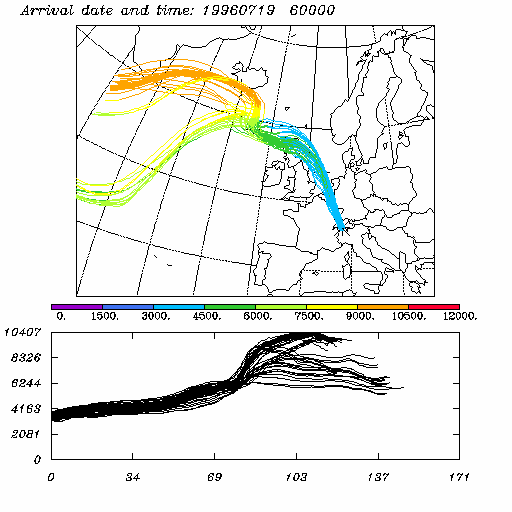 FLEXTRA Output Example 1